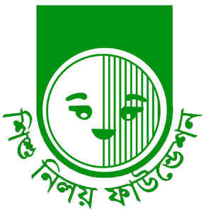 snf logo